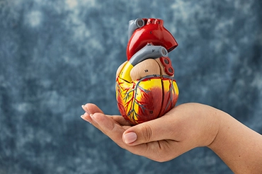 Managing your Cholesterol Levels