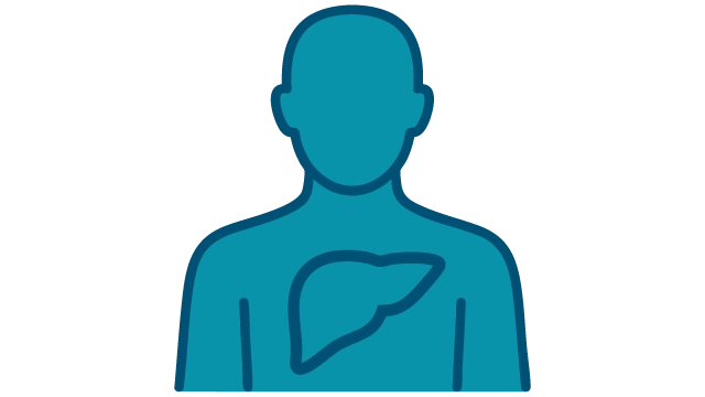 Hepatitis C liver graphic in human body icon