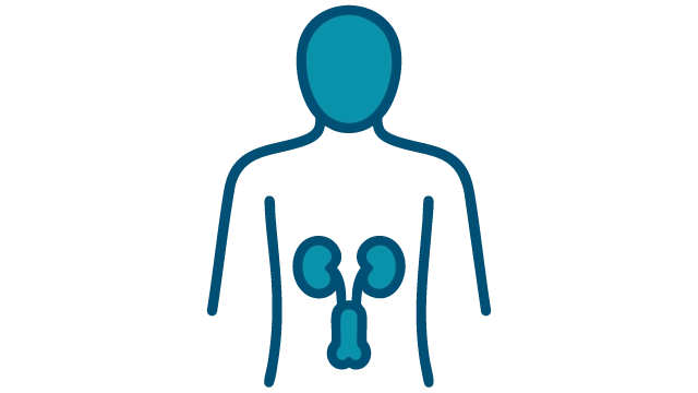 Male Reproductive Health