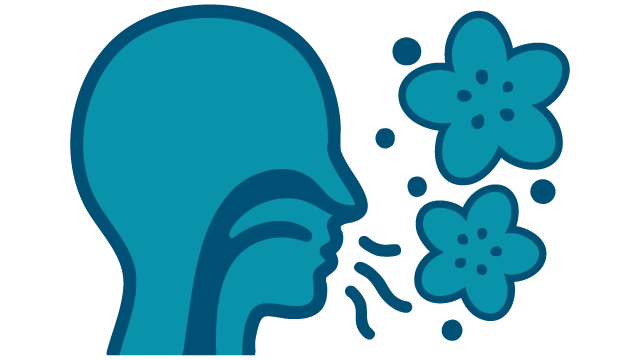 Allergic rhinitis image
